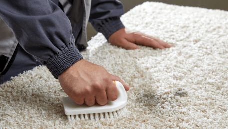 Professional Rug Cleaning Flemington